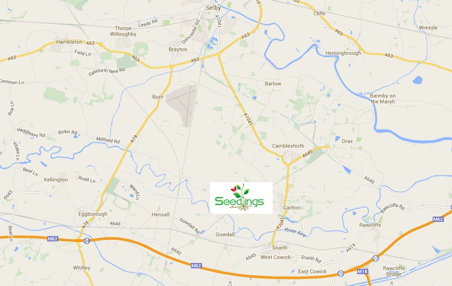 Northern Living - Seedlings - Garden Centre, Café, Farm Shop, Carlton, Goole, near Selby. Location
